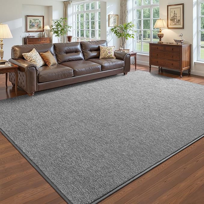 Pettop 5x7 Grey Area Rugs for Living Room Bedroom, Thickened Memory-Foam Throw by Pettop