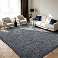 Shag Area Rugs for Bedroom Living Room, 6X9 Ultra Soft Fluffy Area Rugs for Dorm by Boshengya