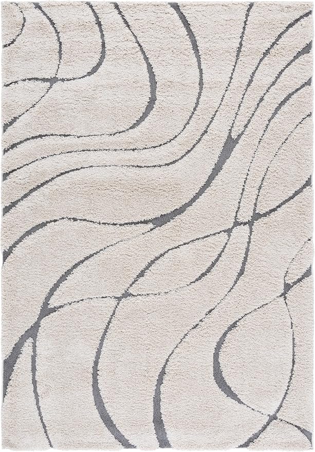 SAFAVIEH Florida Shag Collection Area Rug - Image 3