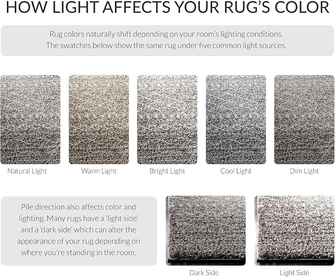SAFAVIEH Area Rug 10x14 - Image 11