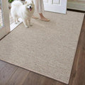 DEXI Ultra Thin Door Mat Indoor Entrance 32x48, Non Slip Rubber Backed Entryway by DEXI