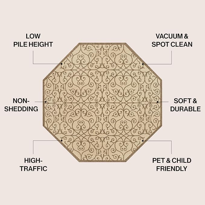 JONATHAN Y Vintage Filigree Indoor Outdoor Octagon Area Rug 5 Ft Beige/Brown - Image 2