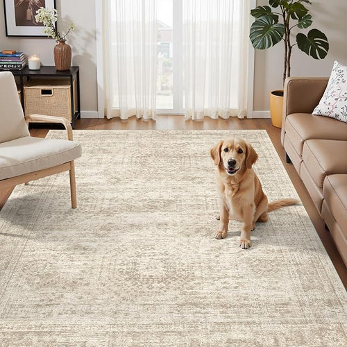 3x5 Rug, Small Area Rug for Kitchen, Machine Washable Non-Slip Throw Rug by Soalmost