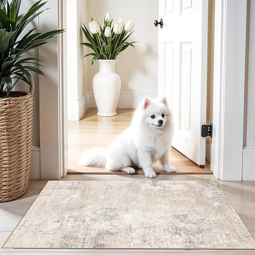 2x3 Washable Non-Slip Rug – Modern Abstract Neutral Small Throw Area Rug by BYYVOORugsforYourHome