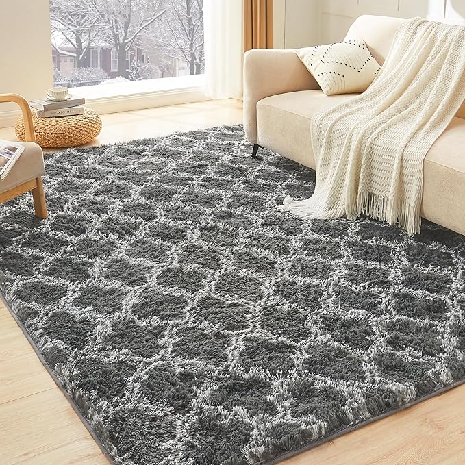 Litanika 4x6 Geometric Shag Area Rug by Litanika