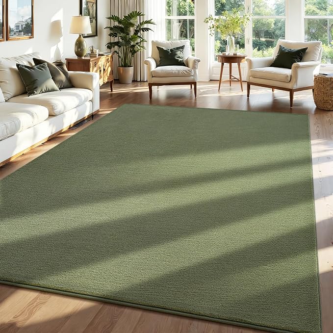 ISEAU 5x7 Rug for Living Room, Soft Memory Foam Carpet by ISEAU