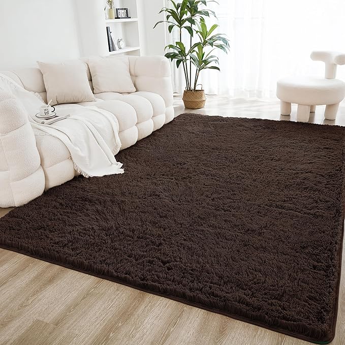 Litanika 3x5 Shag Area Rug for Living Room Bedroom, Non-Shedding Modern Indoor by Litanika