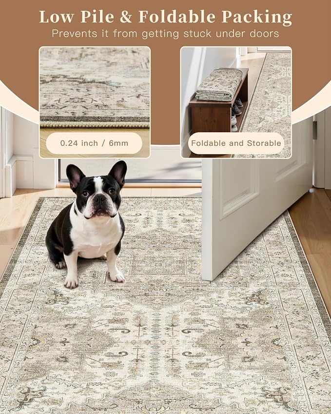 Madane Washable Area Rug 2x3, Small Entryway Rug Non-Slip Vintage Door Mat - Image 6