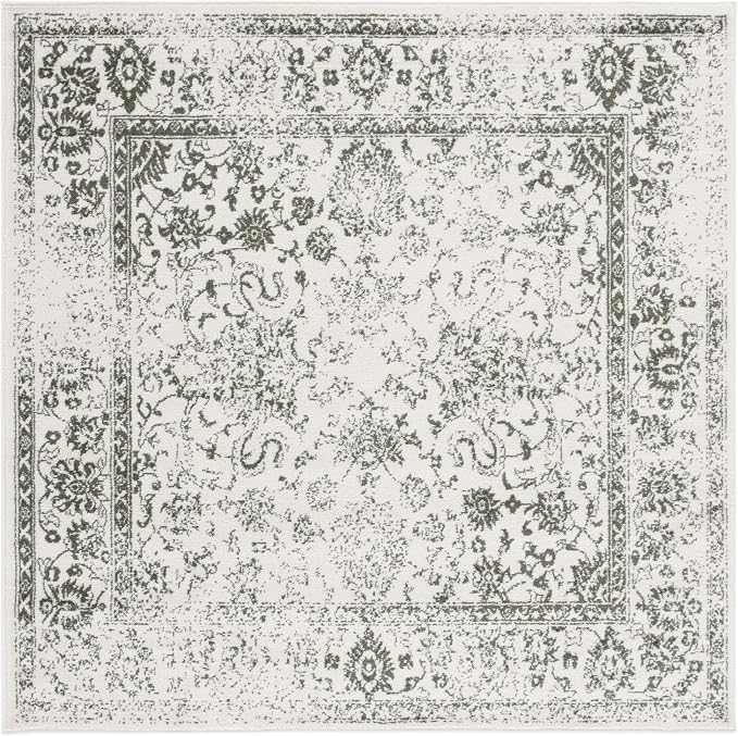 SAFAVIEH Adirondack Collection Area Rug - Image 3