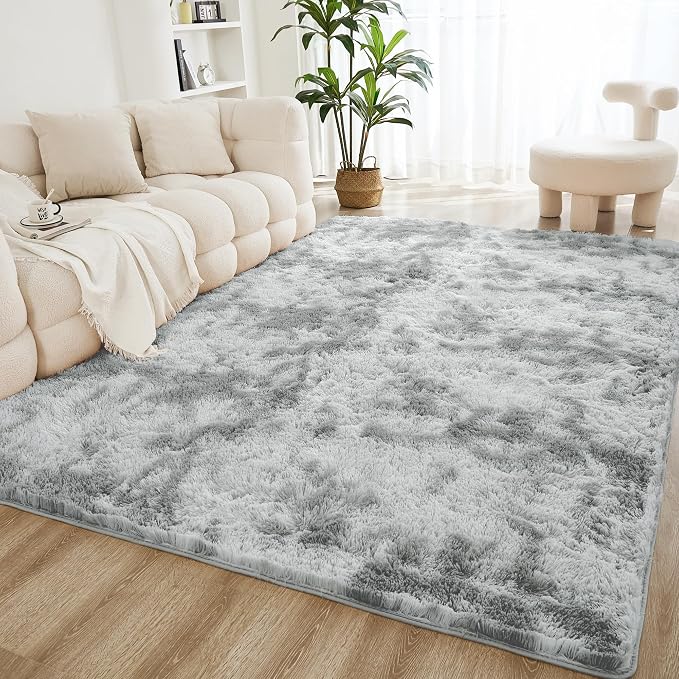 Litanika 3x5 Shag Area Rug for Living Room Bedroom, Tie-Dyed Light Grey High by Litanika
