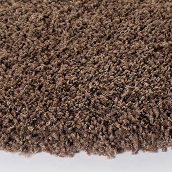 SAFAVIEH Area Rug 11x15 - Image 6