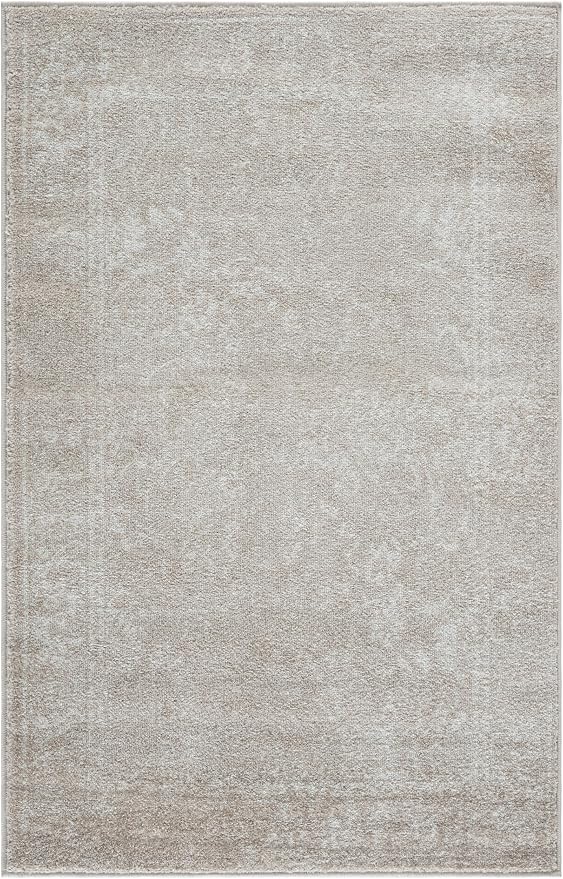 SAFAVIEH Accent Rug 3x5 by Unknown