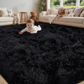 5x7 Area Rug for Living Room:Ultra Soft Fluffy Shag Black Rugs, Large Fuzzy by Unknown