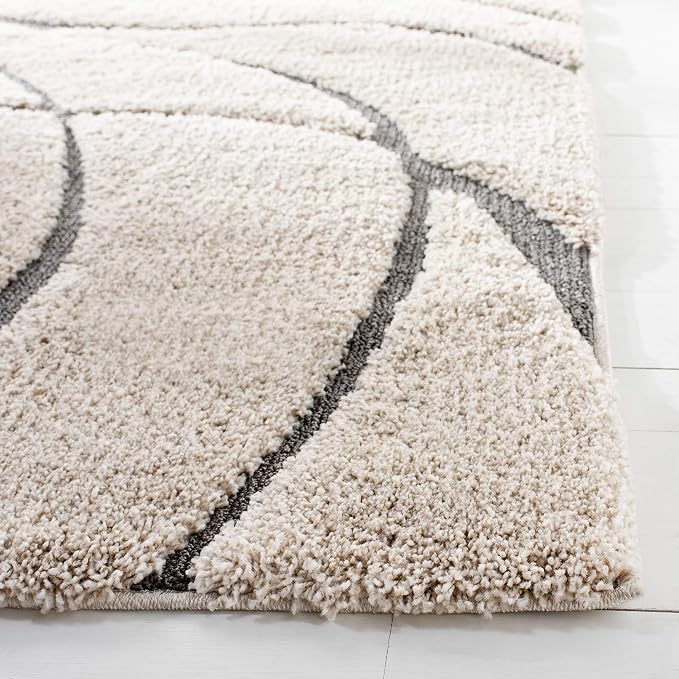 SAFAVIEH Area Rug 8x10 - Image 3