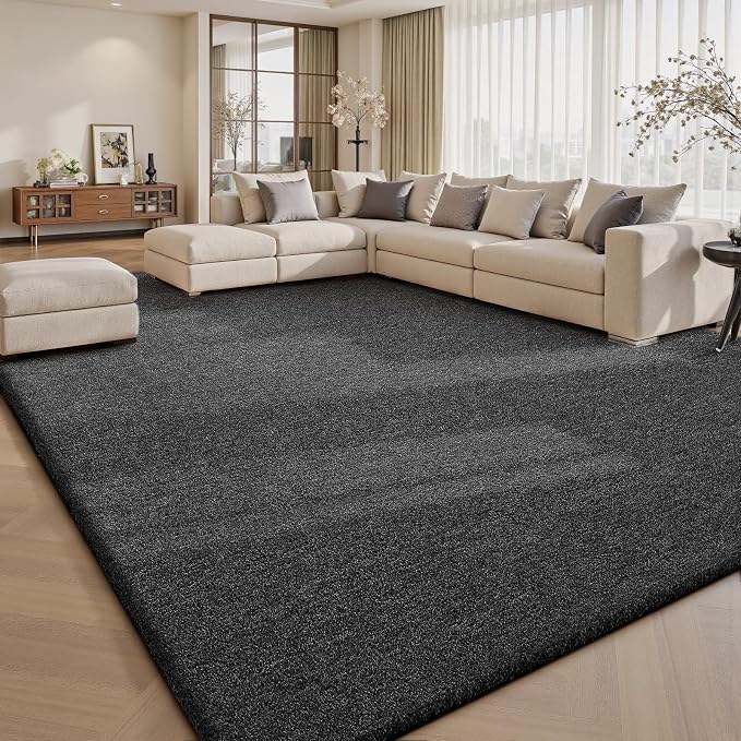 Sour Lemon 9x12 Area Rugs for Living Room, Soft Large Area Rug Fluffy Rugs for by SourLemon