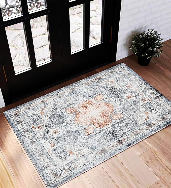 CHAMPLANT Area Rug 2x3 Washable Rug Door Mat Vintage Distressed Doormat Indoor by CHAMPLANT