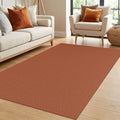 IOHOUZE Washable Area Rug 4x6 Non Slip Rubber Backed Woven Rugs by iOhouze