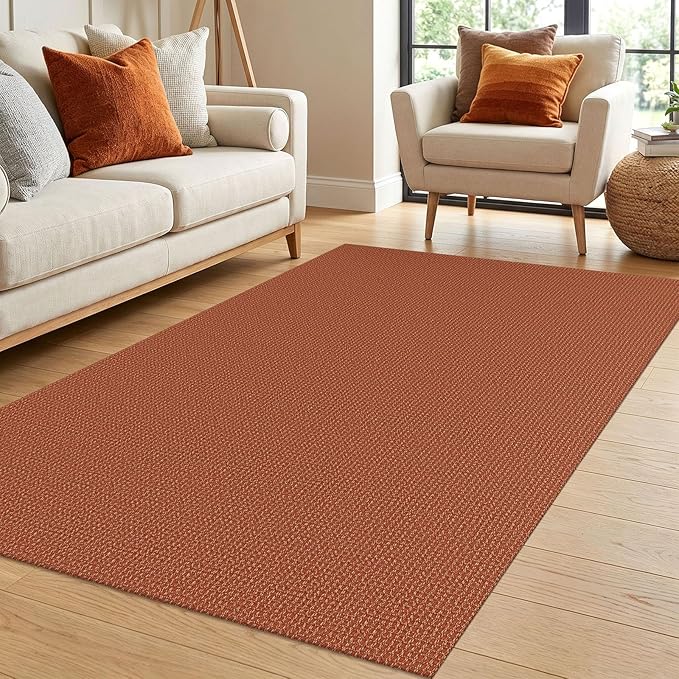 IOHOUZE Washable Area Rug 4x6 Non Slip Rubber Backed Woven Rugs by iOhouze