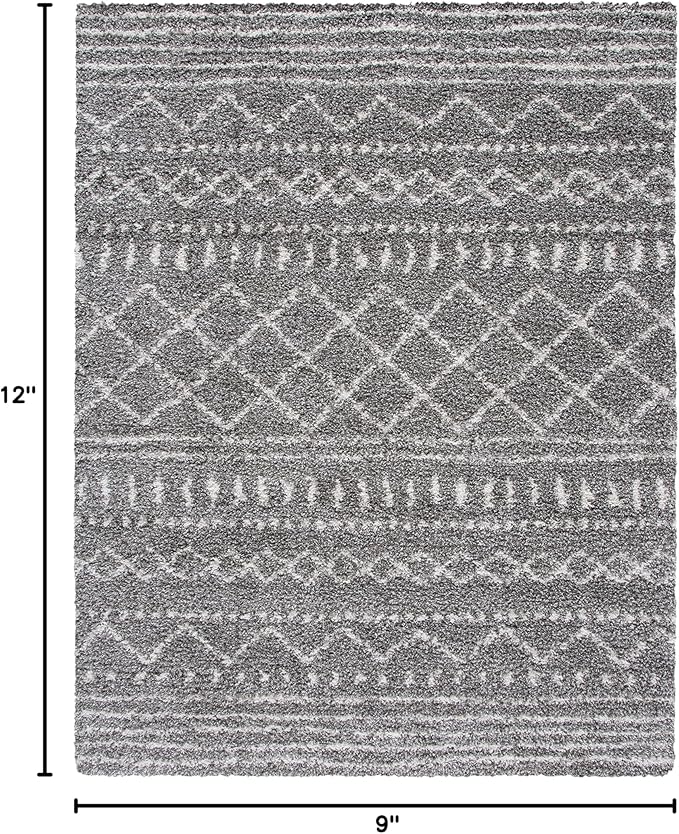 SAFAVIEH Area Rug 9x12 - Image 2