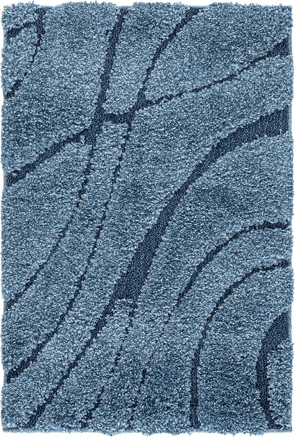SAFAVIEH Florida Shag Collection Accent Rug - Image 2