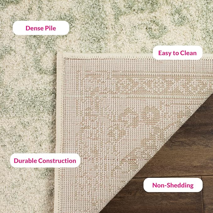 SAFAVIEH Adirondack Collection Area Rug - Image 6