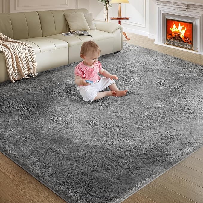 Ultra Soft Rug for Living Room, 6X9 Fluffy Shag Area Rug for Bedroom, Modern by Fairblink