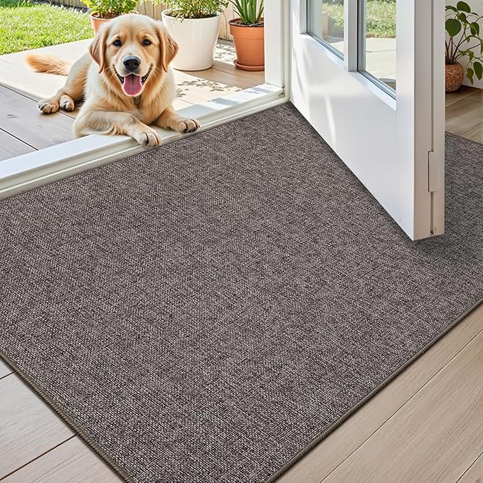 Color&Geometry Ultra Thin Indoor Door Mat 32"x48", Non Slip Rubber Backed Dirt by COLORG