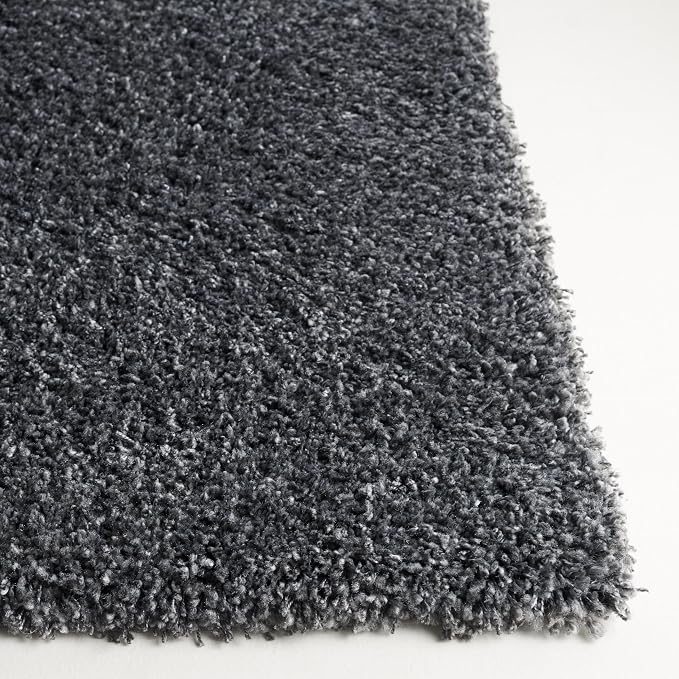 SAFAVIEH Area Rug 3x5 - Image 4