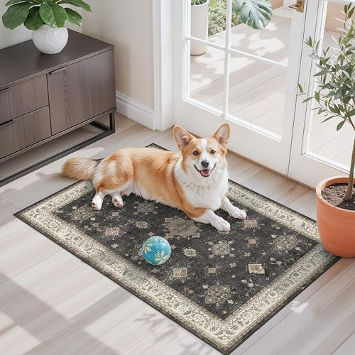 2x3 Washable Non-Slip Area Rug by ZHXXUJ