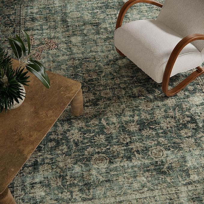 Washable Living Room Area Rug: 5x7 Rugs - Image 4