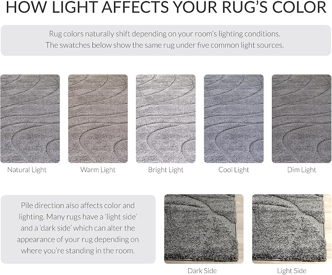 SAFAVIEH Florida Shag Collection Area Rug - Image 5