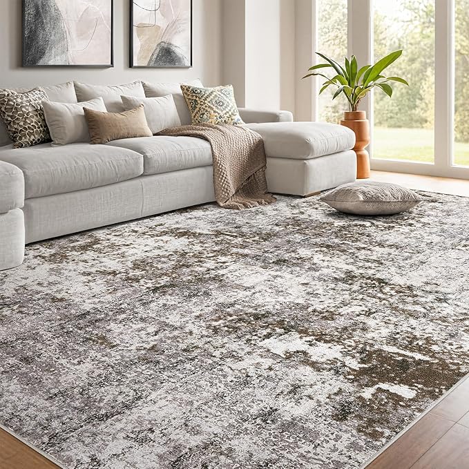 DMOYEST 10x12 Area Rug for Living Room, Washable & Non Slip Large Indoor Carpet by DMOYEST