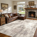 DMOYEST 10x14 Area Rug for Living Room, Washable & Non Slip Large Indoor Carpet by DMOYEST