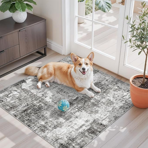 3x3 Square Entryway Rug Washable – Non-Slip Small Area Rug by ZHXXUJ