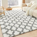 Litanika 6x9 Geometric Shag Area Rug by Litanika
