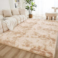 Litanika 5x8 Shag Area Rug for Living Room Bedroom, Tie-Dyed Beige High Pile by Litanika