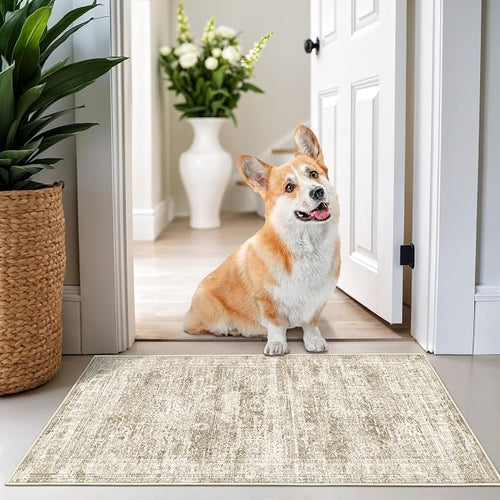 2x3 Washable Rug Runner for Bathroom, Soft Entryway Rug for Laundry Room by Restydon
