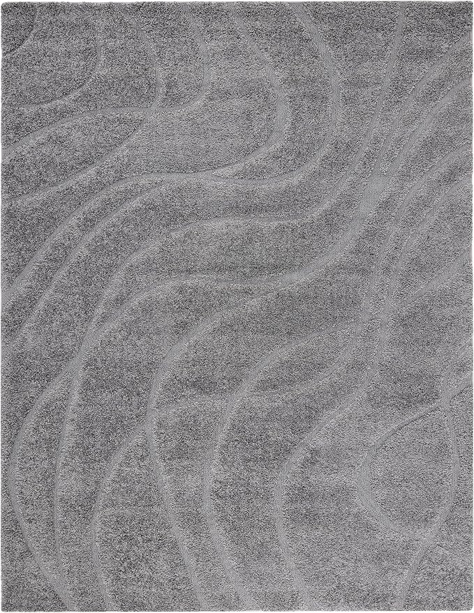 SAFAVIEH Florida Shag Collection Area Rug - Image 3