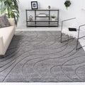 SAFAVIEH Florida Shag Collection Area Rug by Unknown