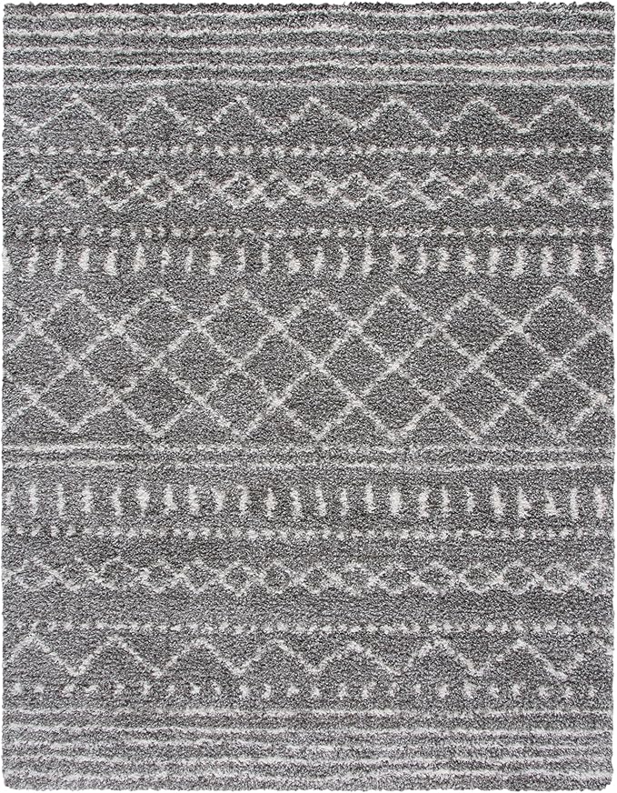 SAFAVIEH Area Rug 9x12 - Image 3